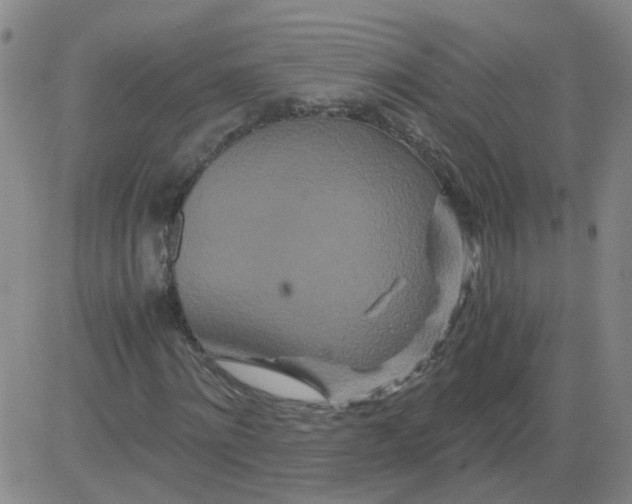 X0000081490868200702021920