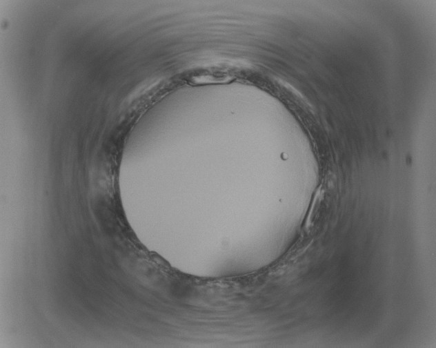 X0000081490869200702021920