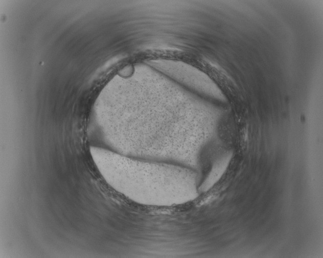 X0000081490870200702021920