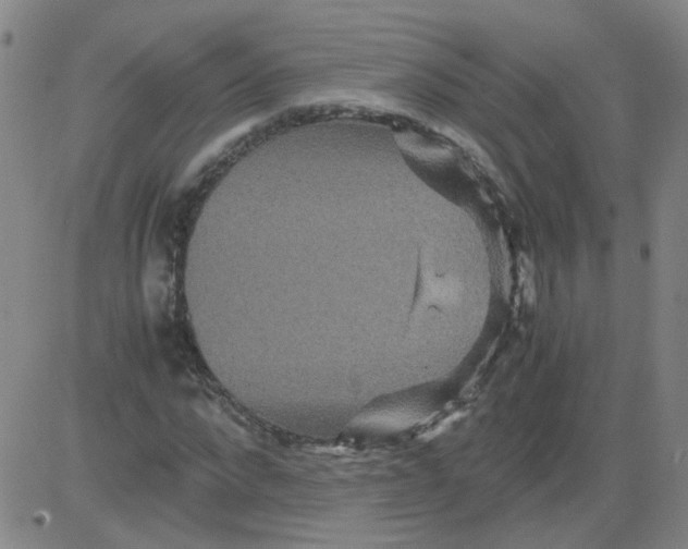 X0000081490872200702021920