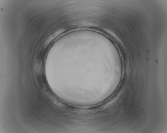 X0000081490873200702021920