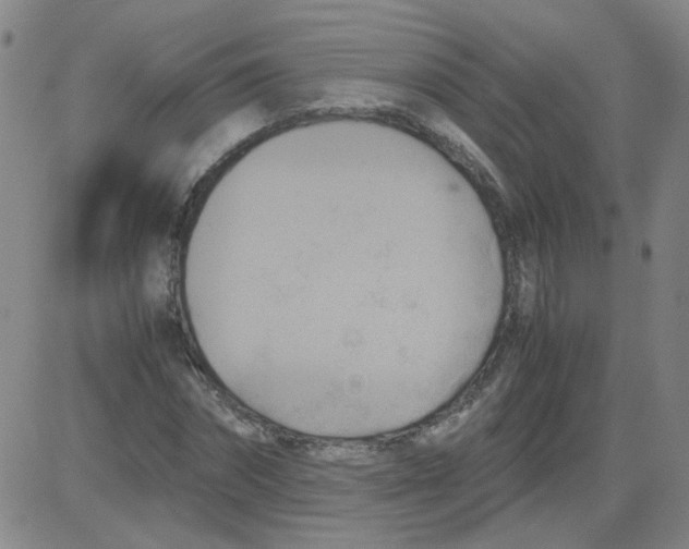 X0000081490874200702021920