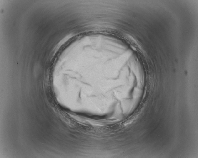 X0000081490875200702021920