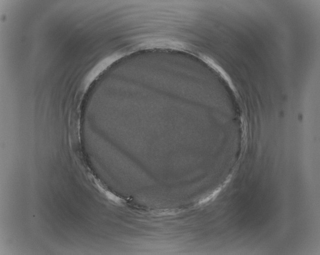 X0000081490877200702021920