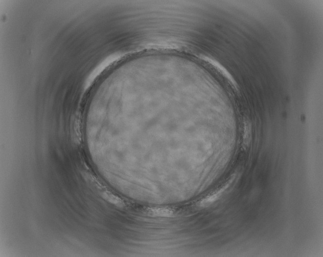 X0000081490878200702021920