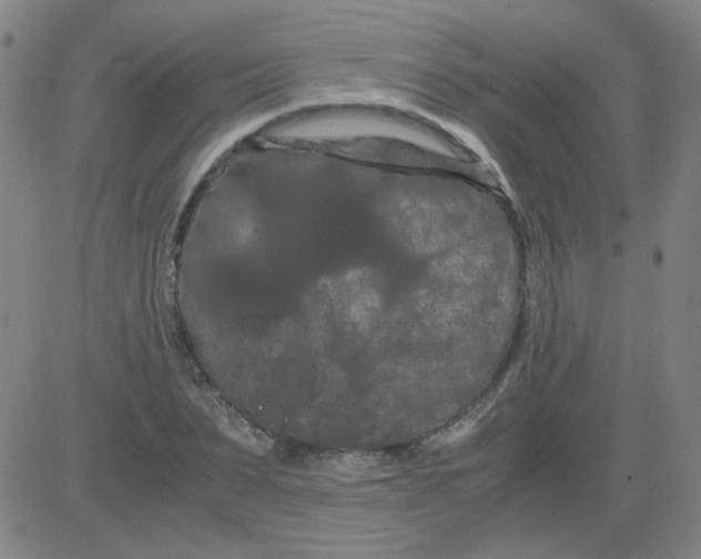 X0000081490879200702021920