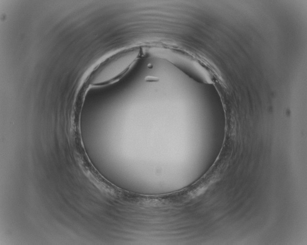 X0000081490880200702021920