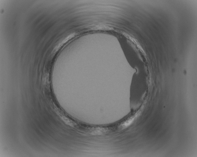 X0000081490881200702021920