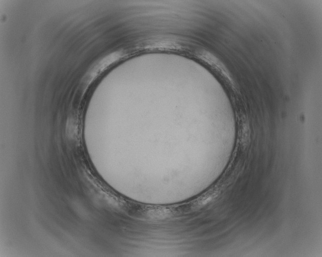 X0000081490882200702021920