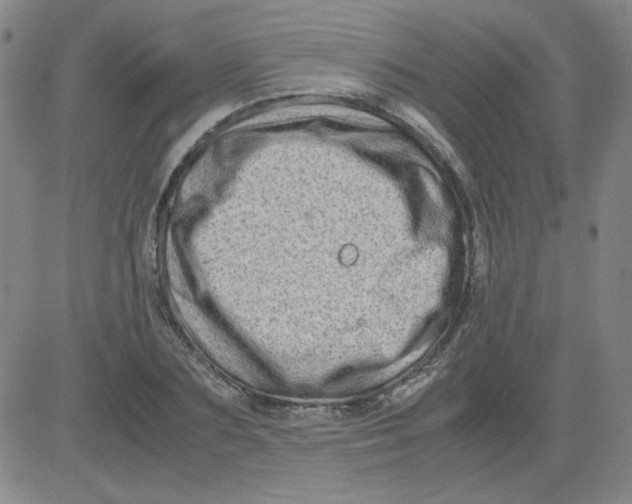 X0000081490883200702021920