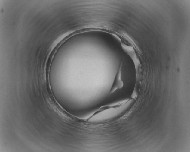 X0000081490884200702021920