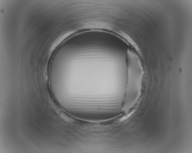 X0000081490885200702021920