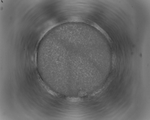 X0000081490886200702021920