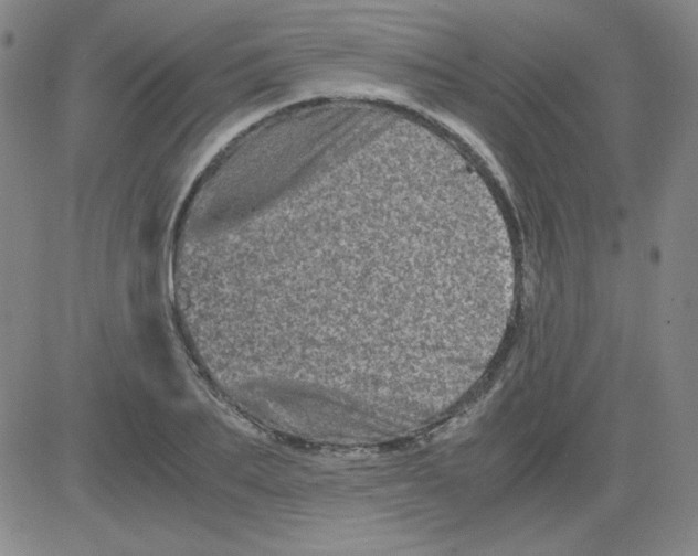 X0000081490887200702021920