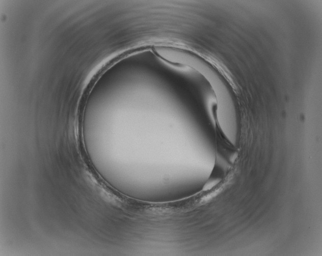 X0000081490888200702021920