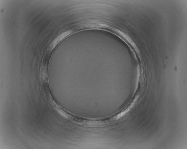 X0000081490889200702021920