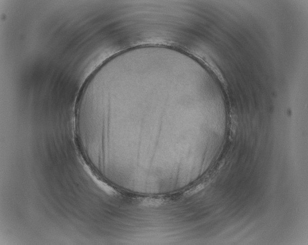 X0000081490890200702021920