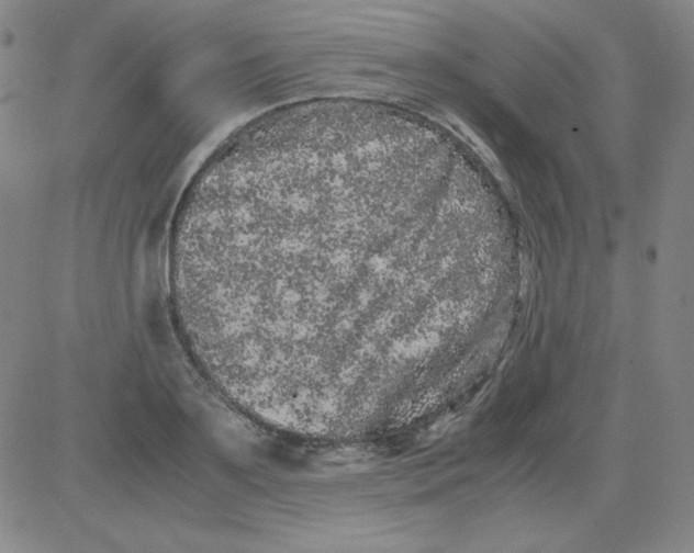 X0000081490891200702021920