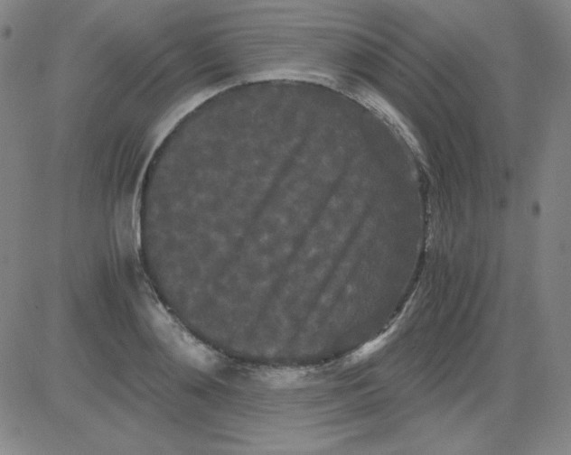 X0000081490892200702021920