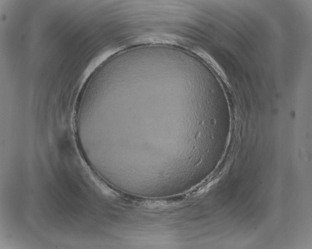 X0000081490893200702021920