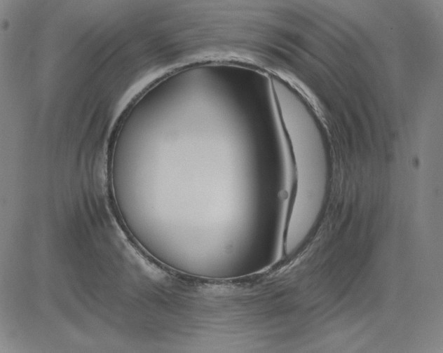 X0000081490894200702021920