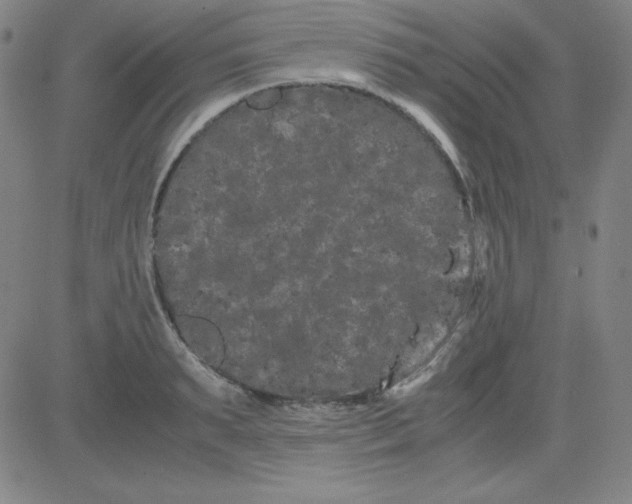 X0000081490895200702021920