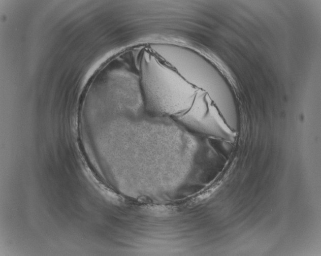 X0000081490896200702021920