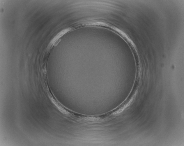 X0000081490897200702021920