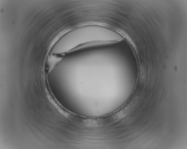 X0000081490898200702021920