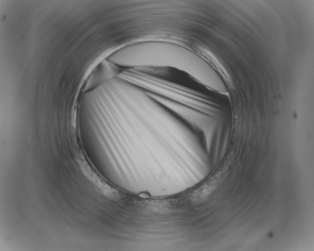 X0000081490900200702021920