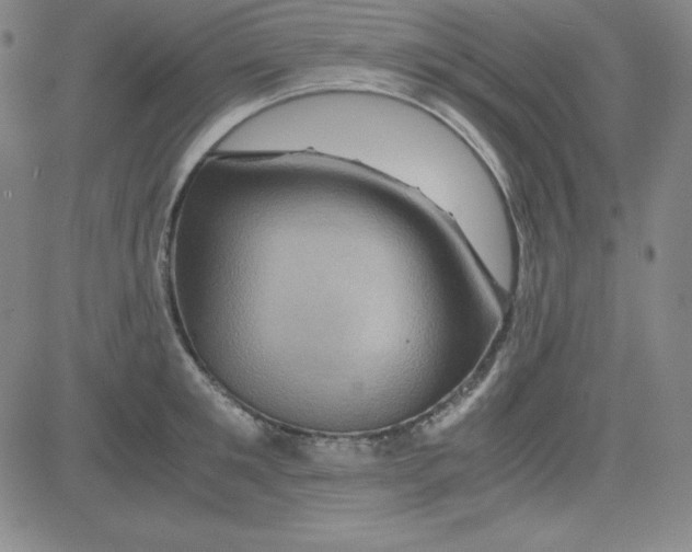 X0000081490901200702021920