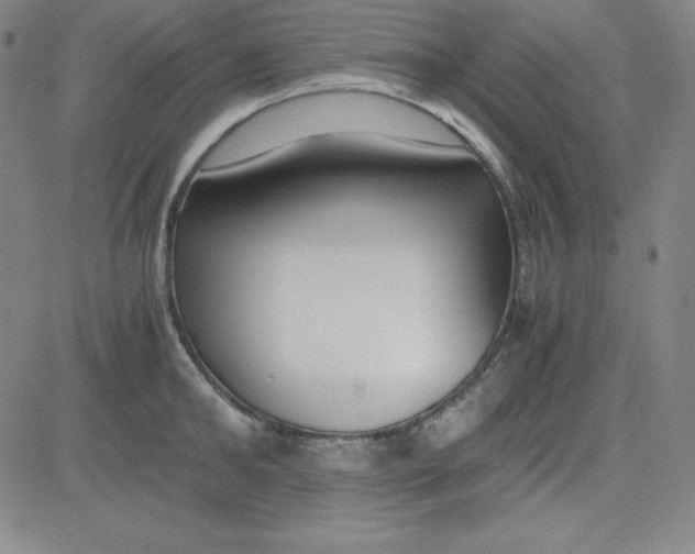 X0000081490902200702021920