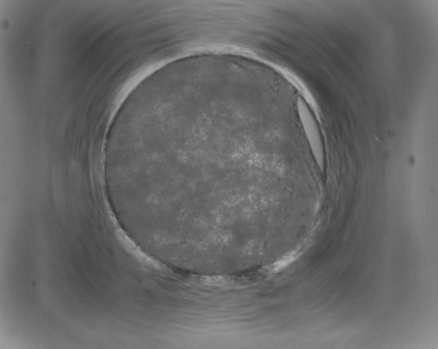 X0000081490903200702021920