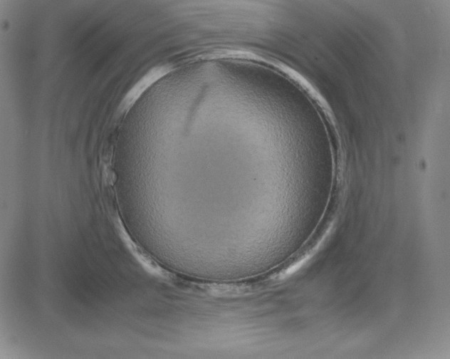 X0000081490905200702021920