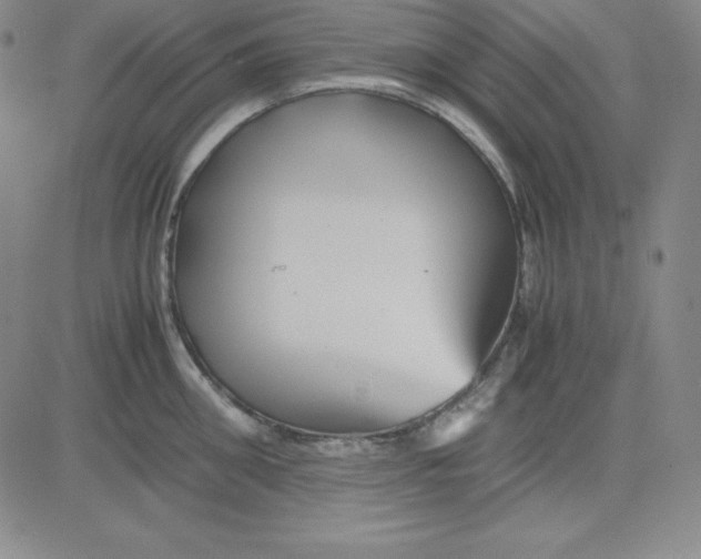 X0000081490906200702021920