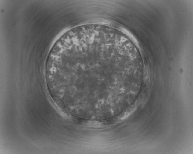 X0000081490907200702021920