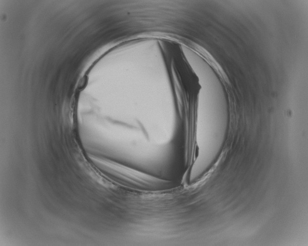 X0000081490908200702021920