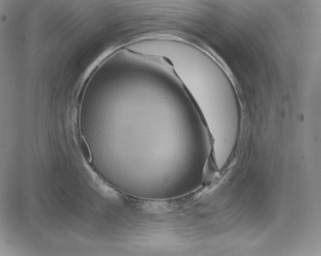 X0000081490909200702021919