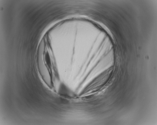 X0000081490911200702021919