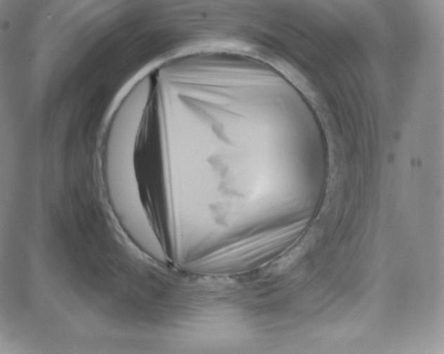 X0000081490912200702021919