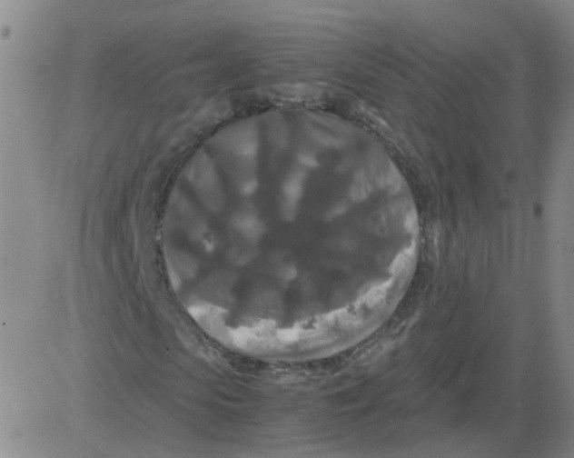 X0000081490913200702021919