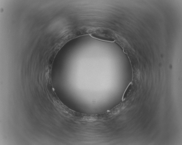 X0000081490914200702021919