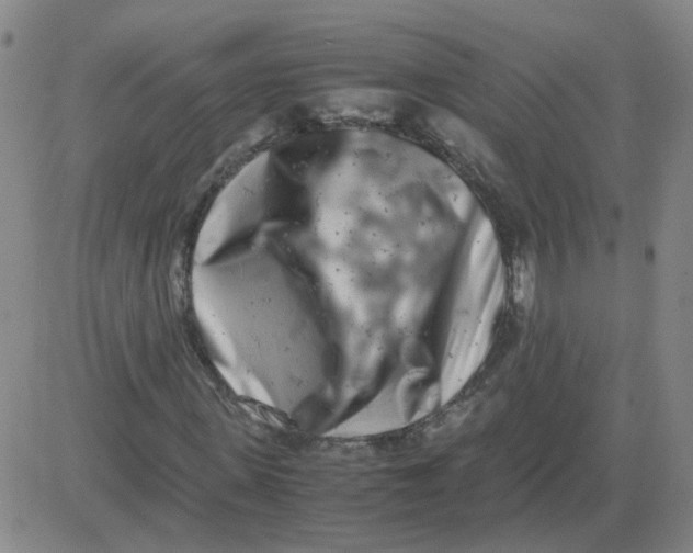 X0000081490915200702021919