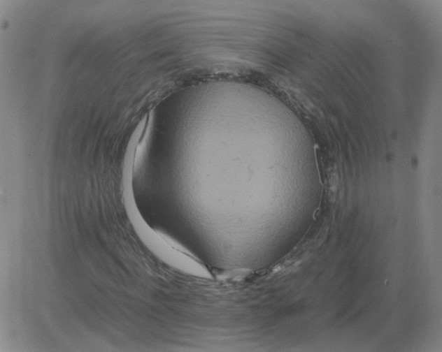 X0000081490916200702021919