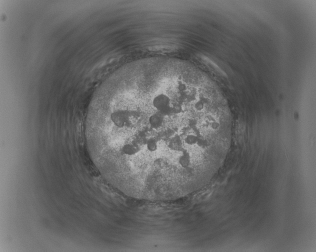 X0000081490917200702021919