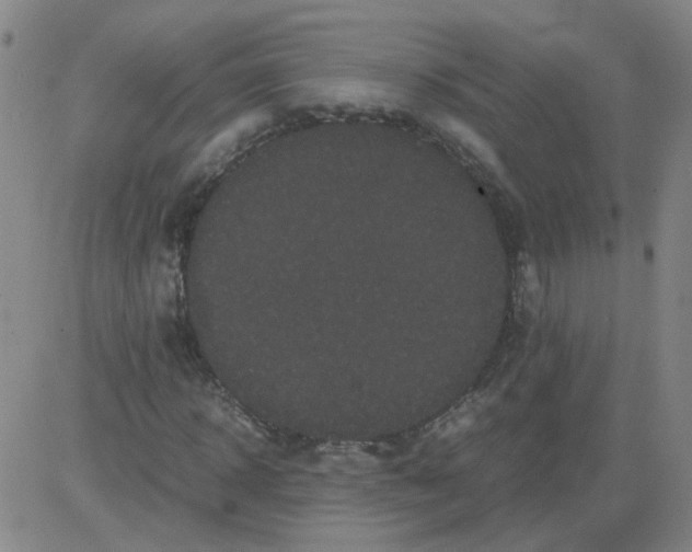 X0000081490918200702021919