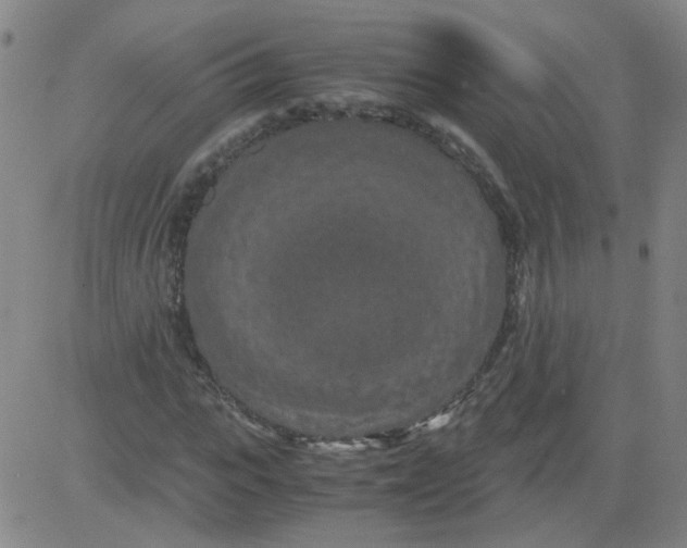 X0000081490919200702021919