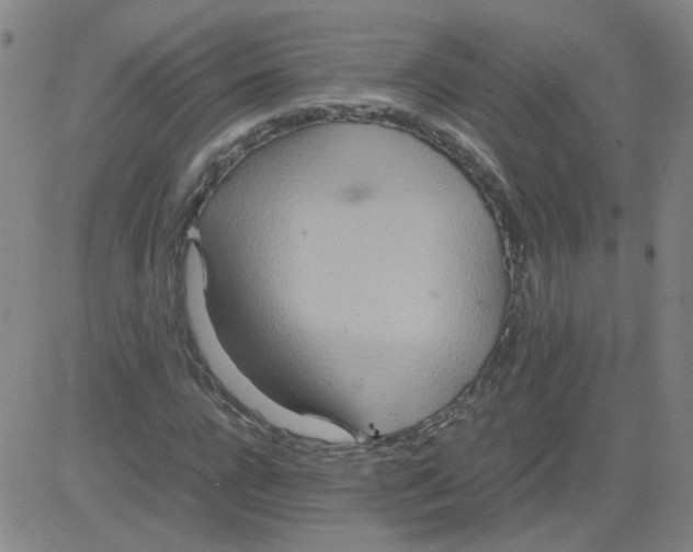 X0000081490920200702021919