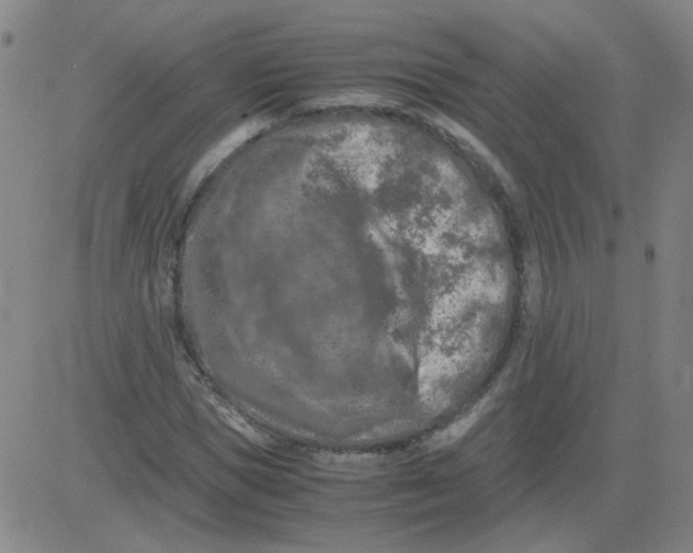 X0000081490921200702021919