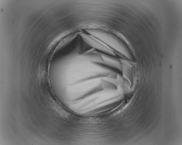 X0000081490922200702021919